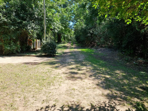 Imagen 3 de 5 de Terreno - Rio Lujan