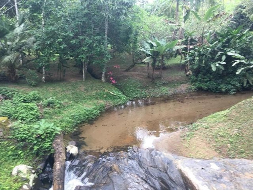 Chácara Com 14 Lagos Em Miracatu-sp