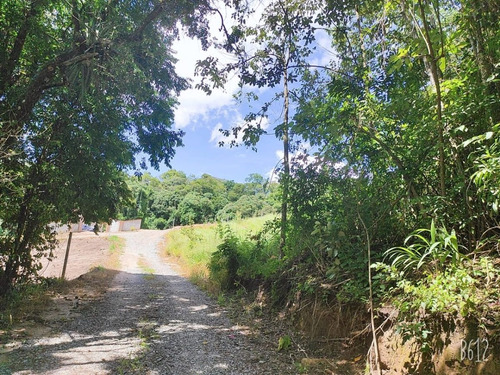 Imagem 12 de 21 de Saia Já Do Aluguel, Terrenos De 600m² Em Ibiúna-sp. G.02