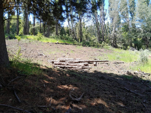 Excelente Lote En Venta Sobre Callejón De Gingins, Sobre El Acceso A La Casona Del Alto, San Martín De Los Andes, Neuquén, Patagonia Argentina