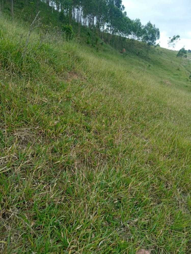 Imagem 8 de 14 de (k.a) Otimas Ofertas Lotes No Interior