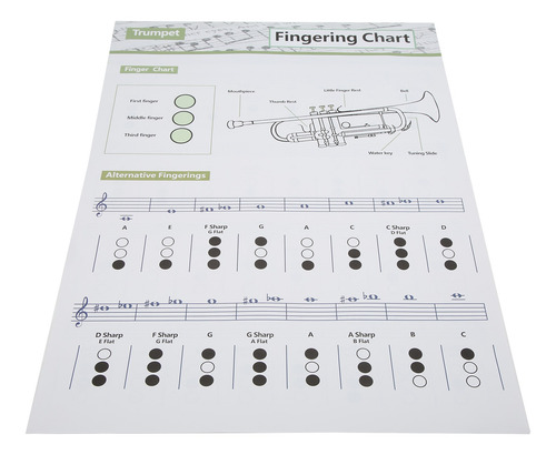 Tabla De Acordes De Trompeta Digitación Nota Instrumento Mus