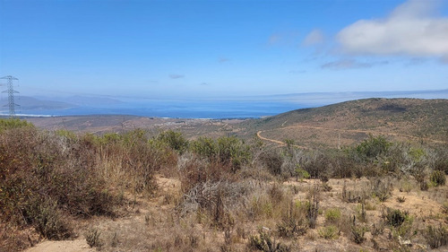 Se Vende Parcela De Agrado De 10.082m2 Pichicuy-huaquen Alto