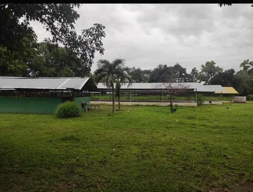 Granja Avicola-porcina A 10 Min.  Del Centro De Barinas 