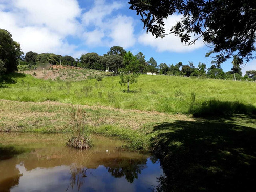 Imagem 4 de 4 de Com Área De 10.283 M² Cercada, Terreno Limpo, Platô Pronto