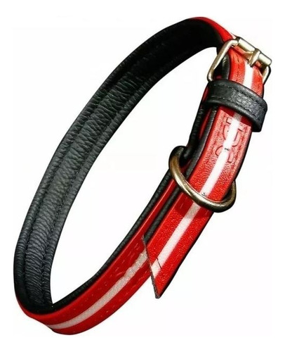 Collar Luminoso Idc P/ Perro 214hb-l-r-70