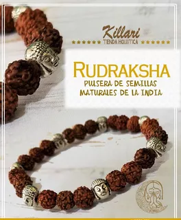 Pulseras Con Semilla De Rudraksha Y Buda