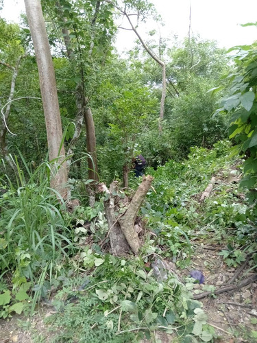 Terreno 3000 M² En Colonia Vista Hermosa Tuxpan Veracruz