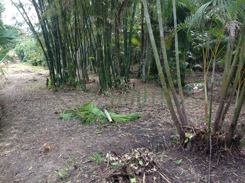 Linda Chácara Em Garuva 80.000m2 Fácil Acesso Para Br 101 Estuda Permuta - Sa00649 - 33844836