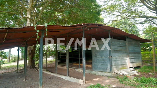 Imagen 13 de 15 de Finca En Venta De 2 Hectareas En Bejuma Carabobo Cód 152172 Acv