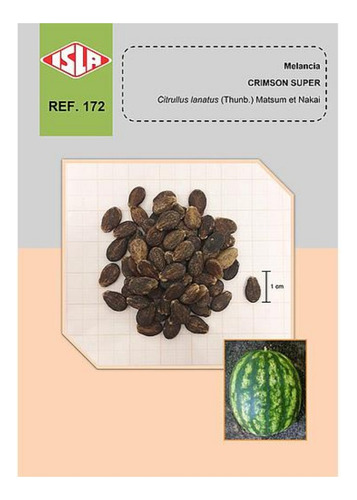 Melancia Crimson Sweet - 5g De Sementes
