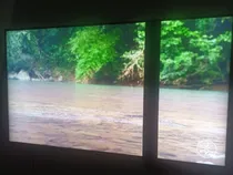 Comprar Tv Jvc 55 Pantalla Con Franja