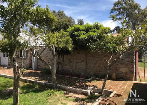 Imagen 20 de 28 de Se Vende Campo De 130 Has, En Maldonado