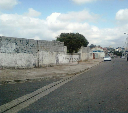 Imagem 10 de 10 de Terreno Residencial À Venda, Vila Nova Bonsucesso, Guarulhos - Te0093. - Te0093