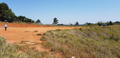 Imagem 8 de 15 de Terreno À Venda, 20000 M² Por R$ 1.600.000,00 - Água Espraiada (caucaia Do Alto) - Cotia/sp - Te9001