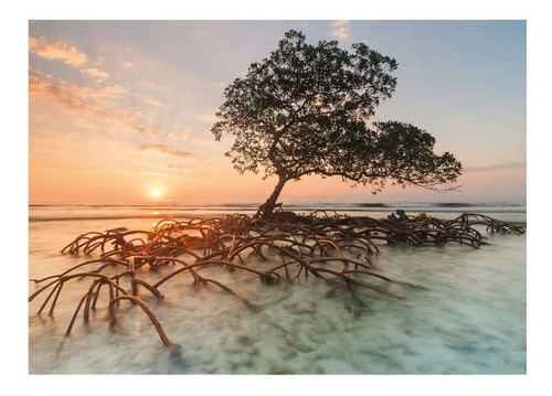 Rompecabezas 1000 Piezas Heye - Red Mangrove, A.v.humboldt