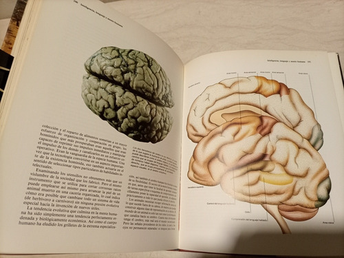 Libro. Los Orígenes Del Hombre. Leakey, Lewin. Aguilar (Usado)