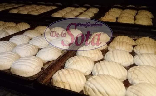 10 Pzas Conchas De La Sota Pan Casero Tampico, Pan Típico
