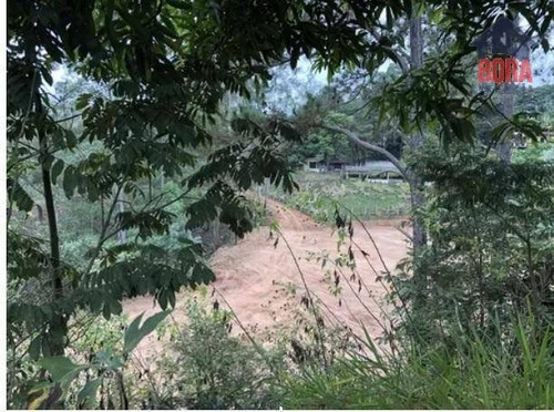 Imagem 7 de 17 de Terreno À Venda, 21405 M² Por R$ 1.200.000 - Campos De Mairiporã - Mairiporã/sp - Te0202
