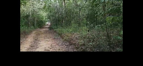 Imagem 6 de 6 de Terreno Escriturado Zona Rural De Pirenópolis