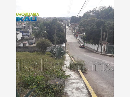 Imagen 6 de 12 de Terreno En Renta Anahuac