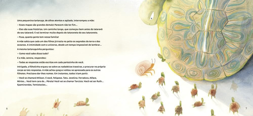 Livro Um Coração Na Janela De Alan Minas Edição 1 2024 Português Ciranda Na Escola