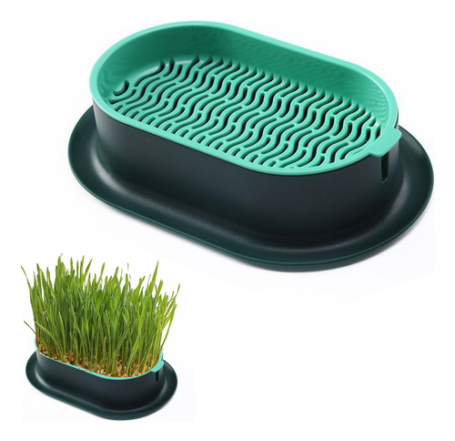 Kit Césped Hidropónico Para Gatos: Maceta Sin Suelo Para