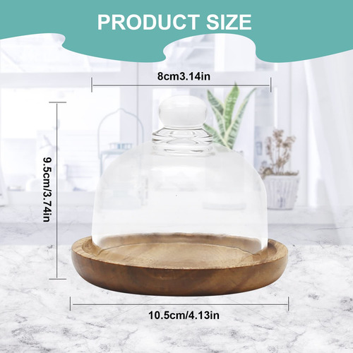 Juego 2 Cúpulas De Vidrio Con Base De Madera 8.6 Cm Cloc