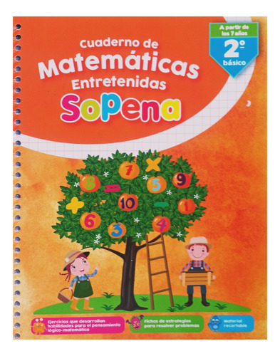 Libro Cuaderno De Matemáticas Entretenidas 2 Básico