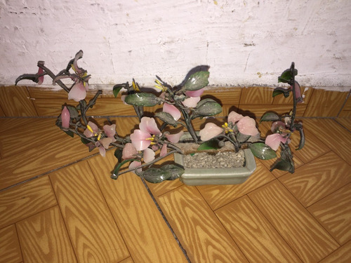 Planta De Flores De Jade Chino