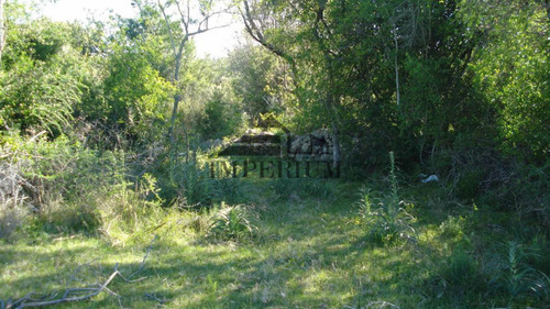 Venta, Campo 98 Hectáreas En Sierras De Carapé