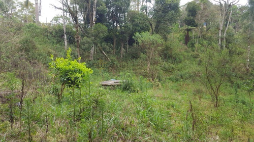 Chácara A Venda No Bairro Miringuava Em São José Dos - 5663-1