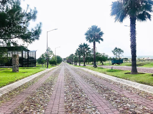 Venta Terreno Campestre Valle De Los Reyes, 20 Min Plaza Mayor León Gto