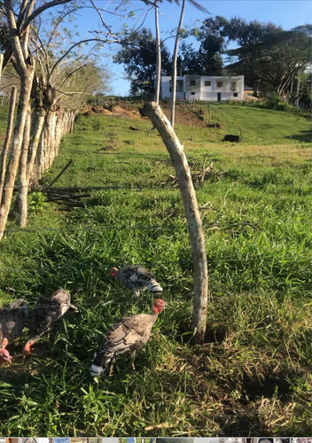 Venta 978 M. De Terreno Boca De Jamao Al Norte Cruse De Noe