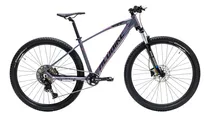 Comprar Bicicleta mountain bike Alubike XTA 2.0 2024 R29 tamaño del cuadro M color gris