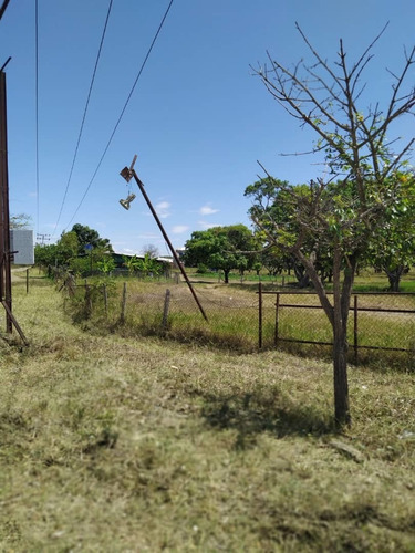 Imagen 9 de 24 de Venta Granja En La Ciudad Valencia Estado Carabobo