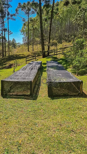 Maravilhoso Rancho De 90 Hectares - Ch0464