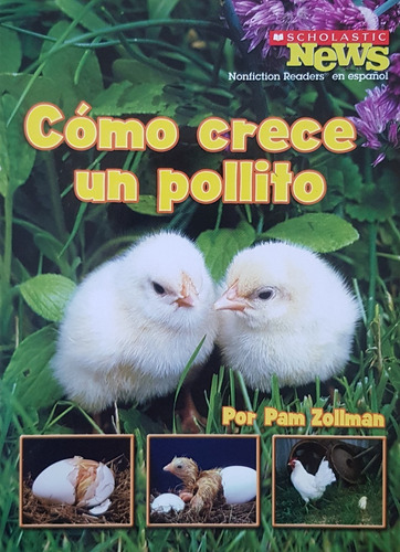 Libro Infantil Cómo Crece Un Pollito (pam Zollman) Inl