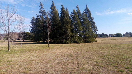 Imagen 5 de 18 de Lote En Venta En Pilar (country Con Golf)