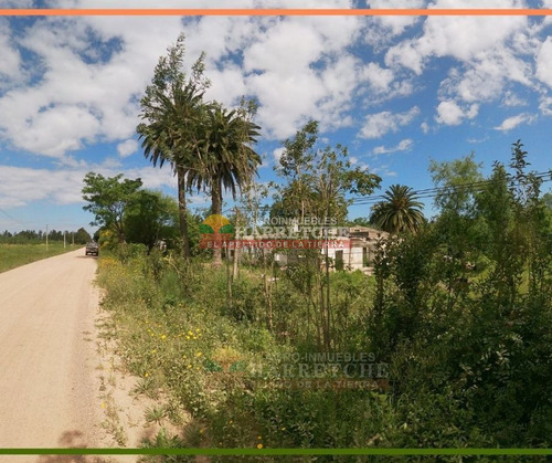 Imagen 12 de 25 de Chacra 3 Has En Melilla, Zona Uam, Cno Polvorin, Construcciones A Reciclar.