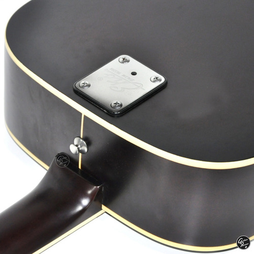 Guitarra Acustica Eko Ranger Vr Vi Profesional + Funda + Pua