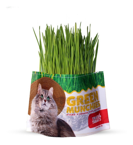 Pasto Avena Y Cebada Para Gatos, Green Munchies, 50g