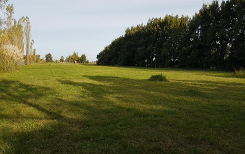 Imagen 3 de 5 de Terreno Scuba Fields - Ibarlucea - 2250m2