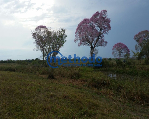 Fazenda - Fa00006 - 68495881