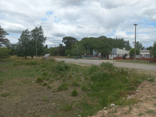 Imagen 16 de 22 de Lote De 10.000 Metros En Chascomús