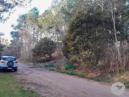 Imagen 2 de 3 de Lote En Carilo
