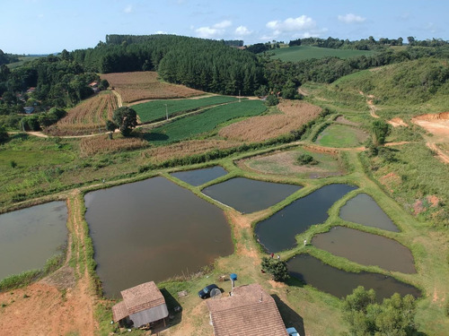 Imagem 3 de 15 de Sítio / Chácara Para Venda Em Quitandinha, Abranches - 150_2-1571928