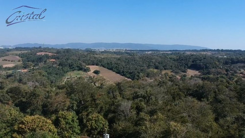 Imagem 8 de 30 de Rural Para Venda, 3 Dormitórios, Jundiaí - Jundiaí - 21971