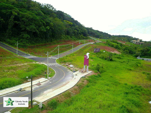 Imagem 3 de 7 de Terreno À Venda No Bairro Centro - Nova Veneza/sc - 600