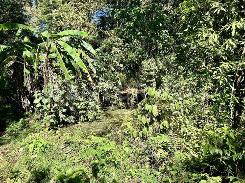 Terreno En Venta En San Sebastian Del Oeste